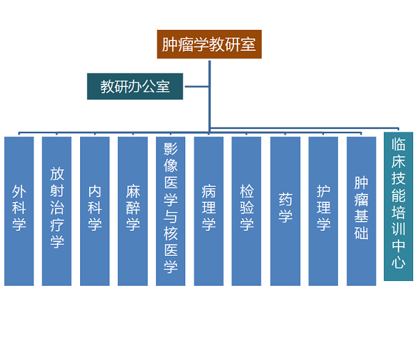 肿瘤学教研室.png