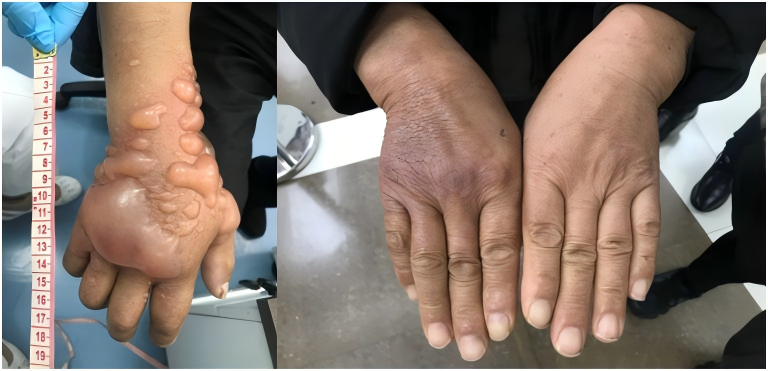 WPS拼图0.png WPS拼图0.png